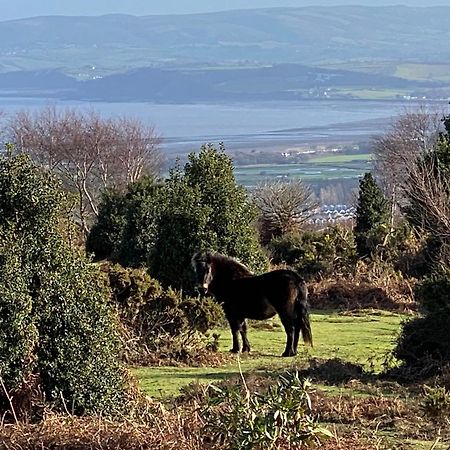 Exmoor Retreat On Two Moors Way Withypool 外观 照片