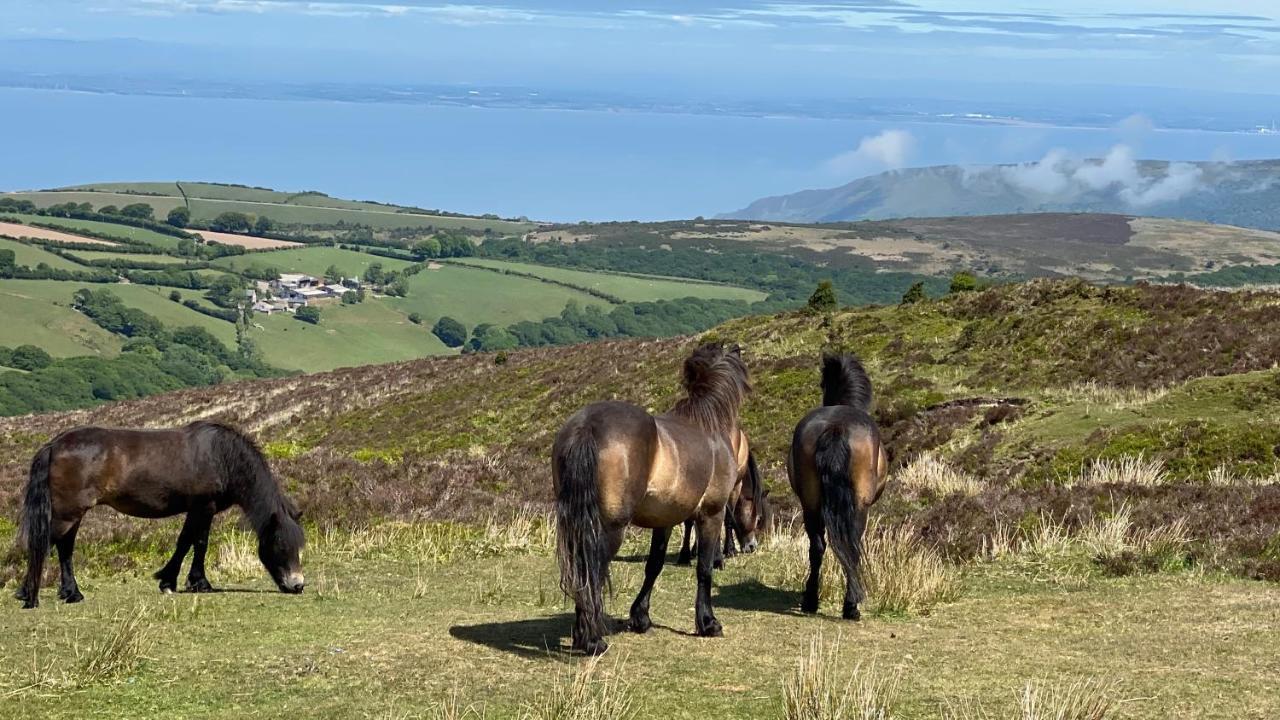 Exmoor Retreat On Two Moors Way Withypool 外观 照片