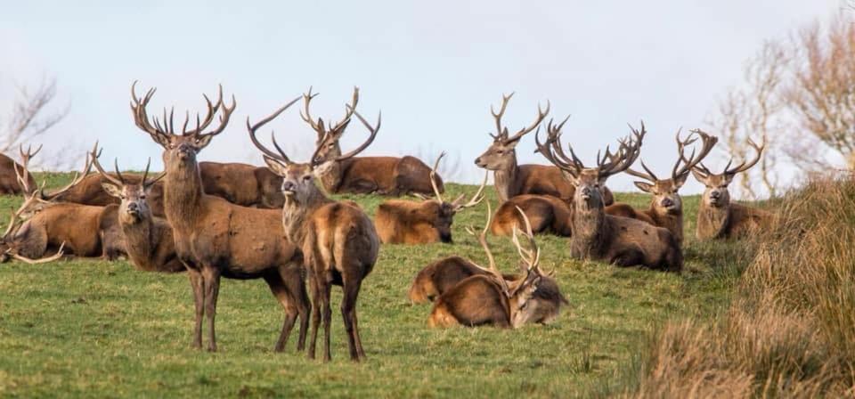 Exmoor Retreat On Two Moors Way Withypool 外观 照片