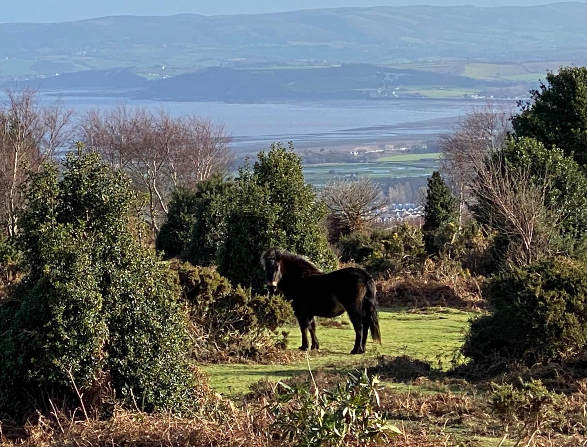 Exmoor Retreat On Two Moors Way Withypool 外观 照片